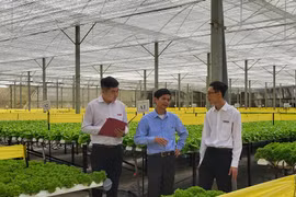 Agribank tiếp tục khẳng định vai trò chủ lực đối lĩnh vực nông nghiệp nông thôn