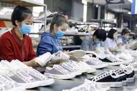 Năng lực cạnh tranh, tính liên kết doanh nghiệp còn khá yếu