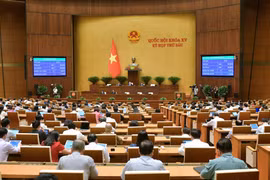Xử lý nghiêm các trường hợp vi phạm, cản trở làm chậm tiến độ giao, thực hiện và giải ngân vốn