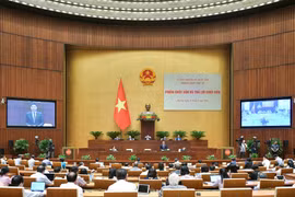 Vấn đề nợ, chậm văn bản đã gây “khoảng trống” pháp luật cũng như gây thiệt hại cho người dân, doanh nghiệp