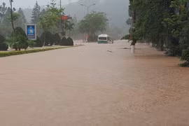 Sơn La: Mưa lớn kéo dài gây ngập úng, cuốn trôi nhiều gia súc