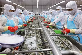 Xuất khẩu thủy sản sẽ cán đích 10 tỷ USD