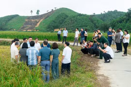 Hội Nhà báo tỉnh Thái Nguyên tổ chức chương trình đi thực tế sáng tác cho hội viên