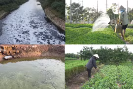 Bắc Từ Liêm (Hà Nội): Người dân bức xúc vì nguồn nước tưới rau màu bị ô nhiễm