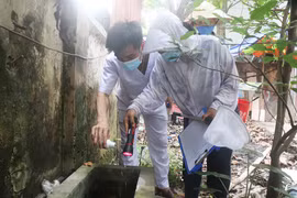 Hà Nội ghi nhận hơn 1.000 ca sốt xuất huyết trong 1 tuần