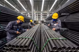 Bắt đầu điều tra doanh nghiệp năm 2023