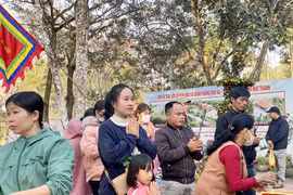 Thanh Hoá: Tổng thu du lịch Tết Nguyên đán ước đạt 357 tỷ đồng