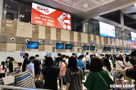 Khuyến nghị hành khách check-in trực tuyến khi đi máy bay dịp cao điểm Tết