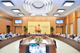Kiến nghị khẩn trương ban hành Nghị định về bảo vệ cán bộ dám nghĩ, dám làm