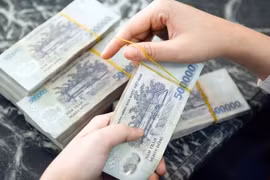 Gia Lai: Người phụ nữ 8X bị tố lừa đảo chiếm đoạt hơn 3,7 tỷ đồng