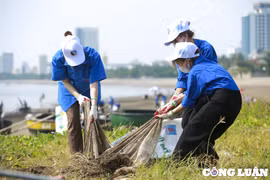 Hà Nội: Hưởng ứng Chiến dịch làm cho thế giới sạch hơn năm 2023