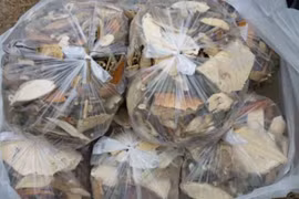 Viêm gan cấp sau uống thuốc nam chữa dạ dày
