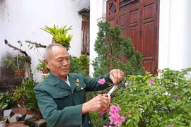 Chuyện chưa kể về tấm bằng Bảng gia đình vẻ vang ở chùa Bổ Đà