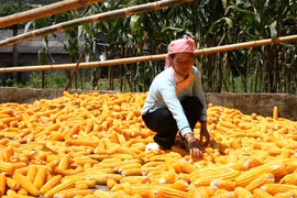 Một bài thơ sâu sắc, chân thành, cảm động!