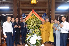 Phó Thủ tướng Trần Lưu Quang thăm hai ngôi cổ tự gần nghìn năm tuổi tại Bắc Ninh