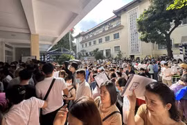 Đổi mới mô hình giáo dục để định hướng nghề nghiệp tốt hơn cho học sinh