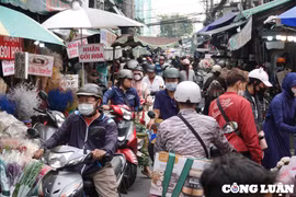 Chợ hoa Hồ Thị Kỷ lớn nhất tại TP HCM đông nghịt khách cận lễ 20/10