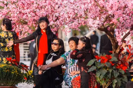 Vinhomes Ocean Park thu hút hàng ngàn khách trong sự kiện chào xuân