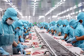 Xuất khẩu thủy sản của Việt Nam có thể đạt 9,2 tỷ USD trong năm 2022