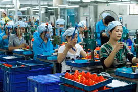 Chủ động tháo gỡ khó khăn, hỗ trợ doanh nghiệp duy trì, phục hồi và phát triển sản xuất, kinh doanh