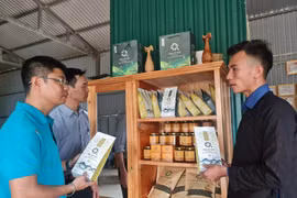 “Vị ngọt” nghề báo…