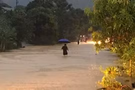 Miền Bắc mưa lớn gây ngập úng, thiệt hại về tài sản, hoa màu của nhân dân