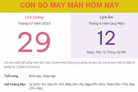 Con số may mắn hôm nay 29/7/2023 thứ 7, ngày 12/6 âm lịch