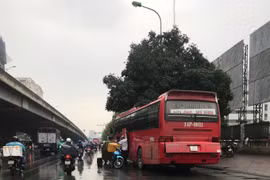 Tập trung kiểm tra, xử lý tình trạng xe dù bến cóc, xe trá hình tuyến cố định