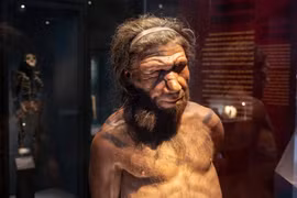 Chống kháng kháng sinh: Ý tưởng từ AI và người Neanderthal đã tuyệt chủng