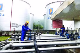Bộ Tài chính báo cáo Chính phủ về dự trữ xăng dầu