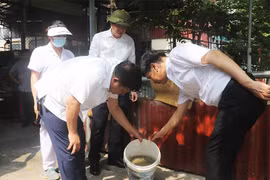Hà Nội: Kiên quyết xử lý tổ chức, cá nhân không tuân thủ phòng, chống sốt xuất huyết