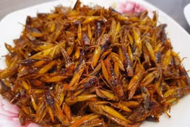 Nghệ An: Người phụ nữ tử vong nghi do ăn châu chấu rang