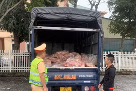 Nghệ An: Phát hiện 600kg cổ, cánh gà đông lạnh không rõ nguồn gốc đang trên đường tiêu thụ