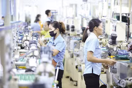 Chính phủ thành lập Tổ công tác đặc biệt về thuế suất tối thiểu toàn cầu