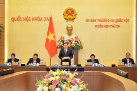 Ủy ban Thường vụ Quốc hội cho ý kiến 5 nhóm vấn đề quan trọng