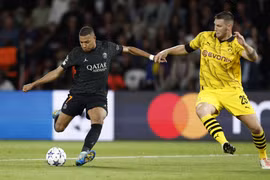 Nhận định Dortmund vs PSG, 03h00 ngày 14/12, bảng F Champions League 2023/24