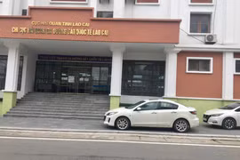 Lào Cai: 23 doanh nghiệp xuất nhập khẩu nợ đọng hơn 11 tỷ tiền thuế 