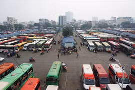 TP HCM: 13 đơn vị vận tải đăng ký tuyến nhưng không chạy bị đình chỉ hoạt động