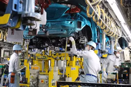 Các doanh nghiệp sản xuất ô tô trong nước đang đứng trước bờ vực sống còn