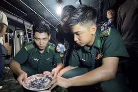 Quảng Ngãi: Thu giữ nhiều cổ vật nghi bị ngư dân khai thác trái phép