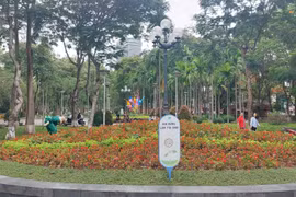 Những bàn tay tô đẹp dải vườn hoa trung tâm thành phố Hải Phòng