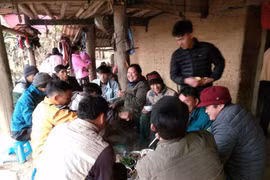 Mổ lợn ăn Tết - nét văn hóa truyền thống của người Mông
