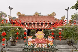 Đầu năm Mão về Thanh Hoá thăm chùa Mèo