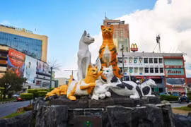 Độc đáo thành phố Mèo