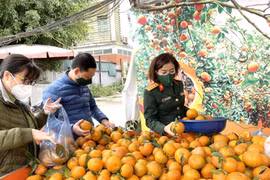Những giải pháp mới nhằm đưa đặc sản địa phương đến tay người tiêu dùng trong nước
