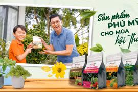 Phân bón Phú Mỹ - Giải pháp phát triển toàn diện cho cây trồng