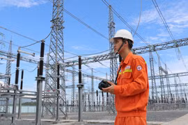 Truyền tải điện Ninh Thuận vận hành an toàn lưới điện truyền tải trong mùa mưa bão