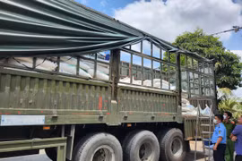 Sóc Trăng phát hiện 80 tấn đường kính trắng chưa rõ nguồn gốc xuất xứ