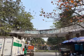 Công viên Tuổi Trẻ: Từ “Lá phổi xanh" thành nơi nuôi gà