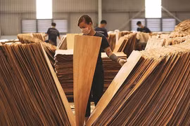 Hoa Kỳ gia hạn điều tra lẩn tránh phòng vệ thương mại với gỗ dán